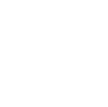 Image of Ecommerce icon